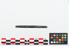Foto von Bronzearmreif (NHMW-PRAE-025170)